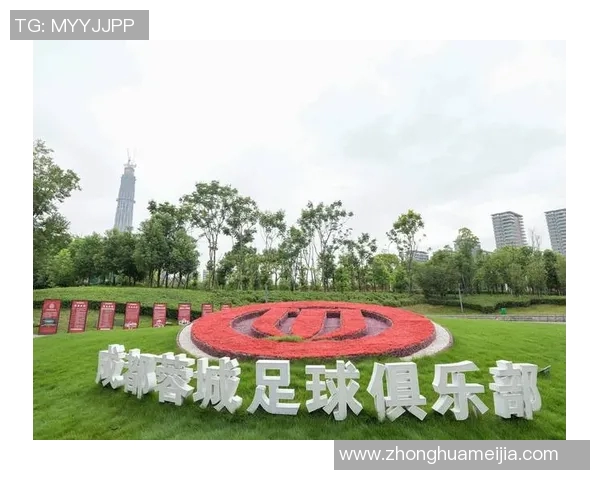 深入分析成都足球队包夹战术的优势与应用策略