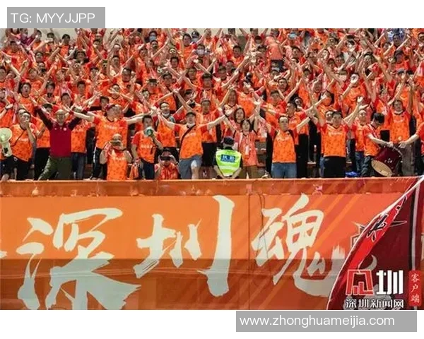 深圳排球队灵活性引发热议球迷与专家观点大碰撞